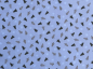 Preview: Baumwoll-Stoff Weihnachtsbaum Creme Nr 4934